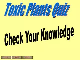 Toxic Plants Quiz