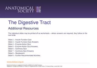 The Digestive Tract
