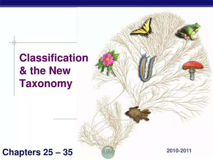 classification the new taxonomy