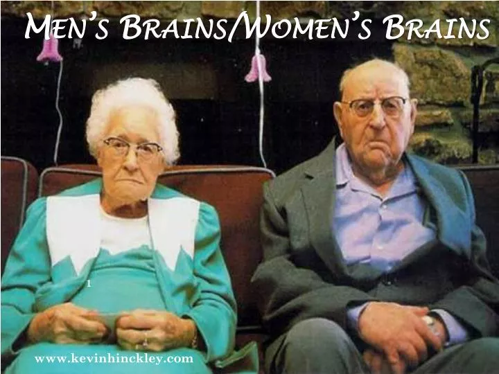 men s brains women s brains
