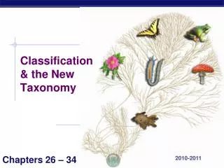 Classification &amp; the New Taxonomy