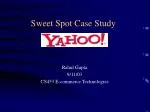 Sweet Spot Case Study
