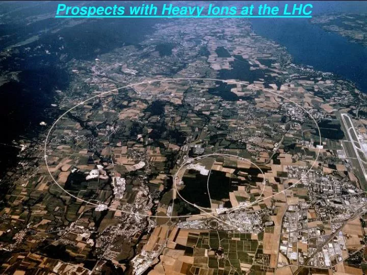 prospects with heavy ions at the lhc