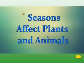 Seasons Affect Plants and Animals