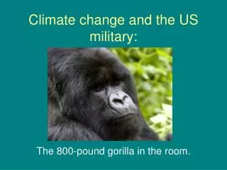 Climate change and the US military: