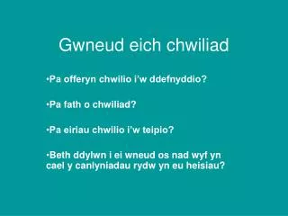 gwneud eich chwiliad