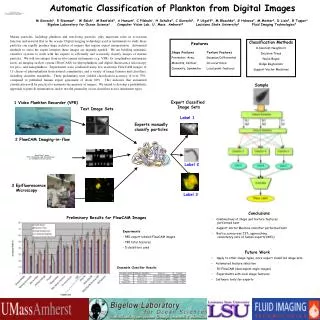 Automatic Classification of Plankton from Digital Images
