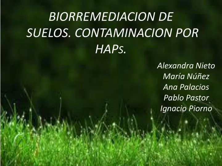 biorremediacion de suelos contaminacion por hap s