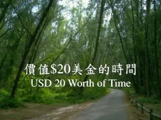20 usd 20 worth of time