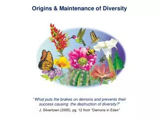 Origins &amp; Maintenance of Diversity