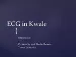 ECG in Kwale - slide 1