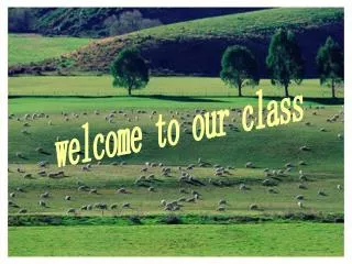 welcome to our class