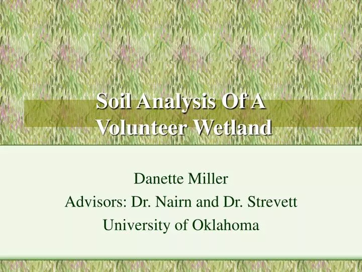 soil analysis of a volunteer wetland