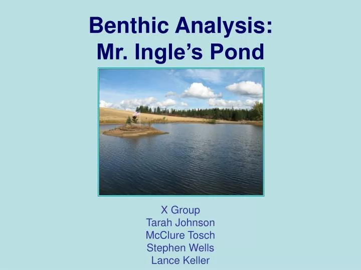 benthic analysis mr ingle s pond