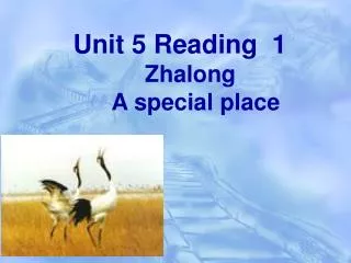 Unit 5 Reading 1 Zhalong A special place