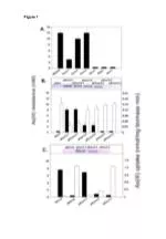 As(III) Uptake Dynamics in Membrane Proteins: Fluorescence and Time-Dependent Analysis - slide 1