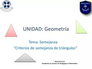 unidad geometr a