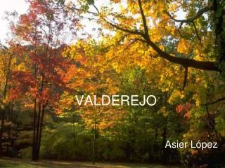 VALDEREJO