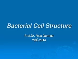 Bacterial Cell Structure