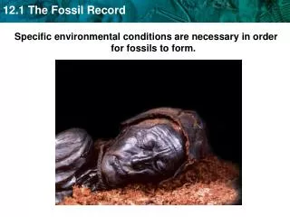 Specific environmental conditions are necessary in order for fossils to form.
