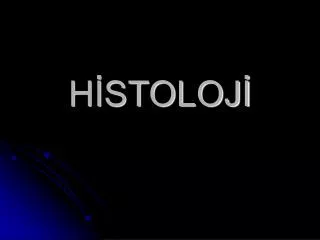h stoloj