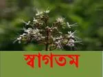 স্বাগতম - slide 1