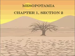 Mesopotamia Chapter 1, Section 2