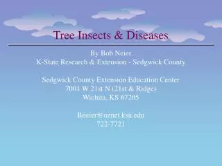 Tree Insects &amp; Diseases