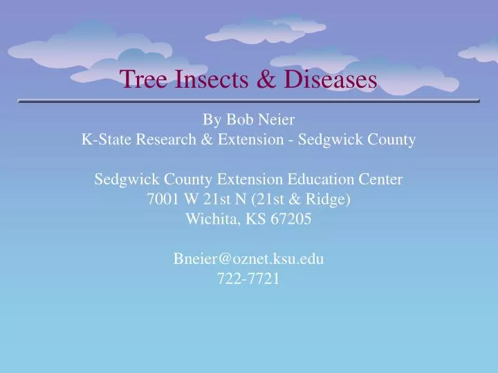 tree insects diseases