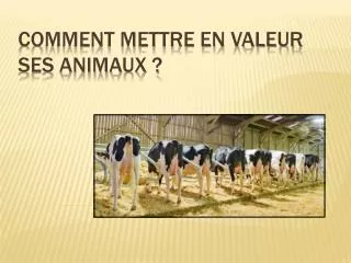 comment mettre en valeur ses animaux