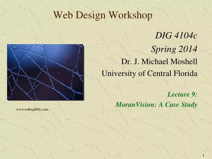 web design workshop