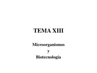 tema xiii