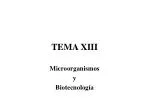 TEMA XIII - slide 1