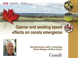 Opener and seeding speed effects on canola emergence