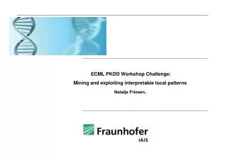 ECML PKDD Workshop Challenge : Mining and exploiting interpretable local patterns