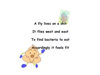 A fly lives on a shit It flies west and east To find bacteria to eat Accordingly it feels fit
