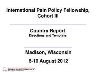 International Pain Policy Fellowship, Cohort III