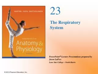23 The Respiratory System