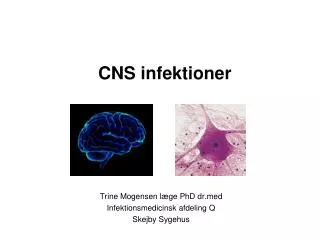 cns infektioner