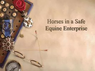 Horses in a Safe Equine Enterprise