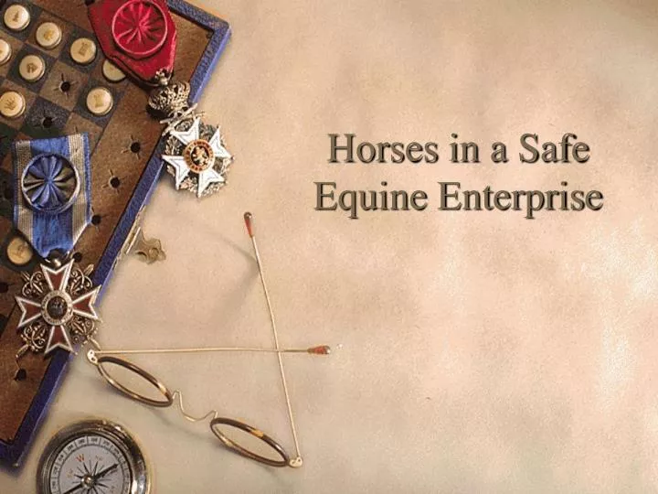 horses in a safe equine enterprise