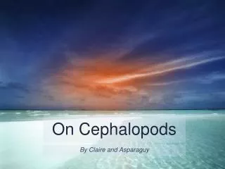 On Cephalopods