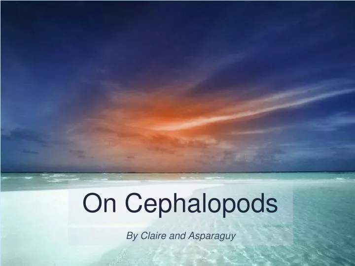 on cephalopods
