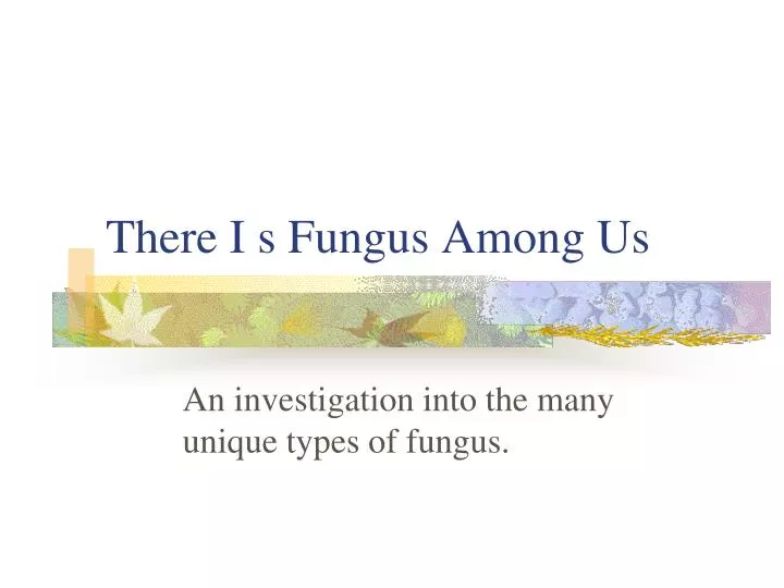 there i s fungus among us