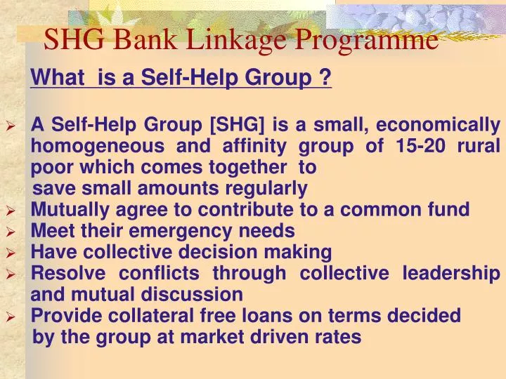 shg bank linkage programme