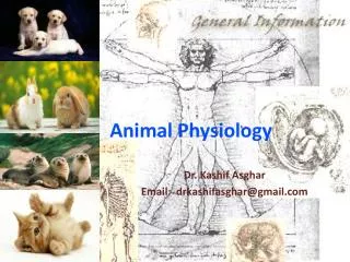 Animal Physiology