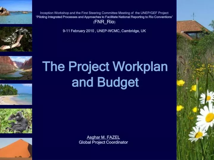 the project workplan and budget