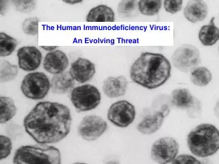 The Human Immunodeficiency Virus: An Evolving Threat