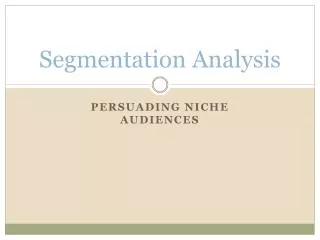 Segmentation Analysis