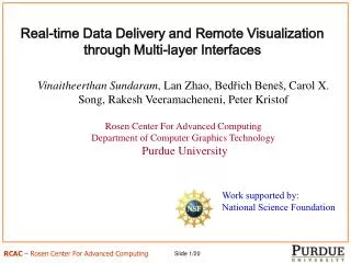 Real-time Data Delivery and Remote Visualization through Multi-layer Interfaces